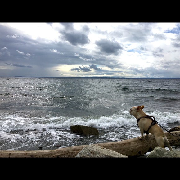 Meet your Posher, Fred - Picture 3 of 7